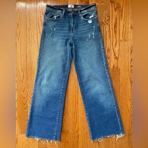 KENSIE Denim The Kaya High Rise Wide Leg Jeans size 28/6